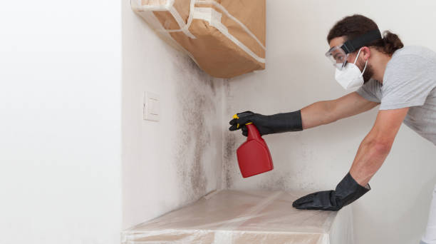 Professional Mold Removal technician working in Lottsburg, VA